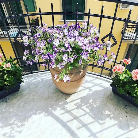 Domus Luca - In The Heart Of